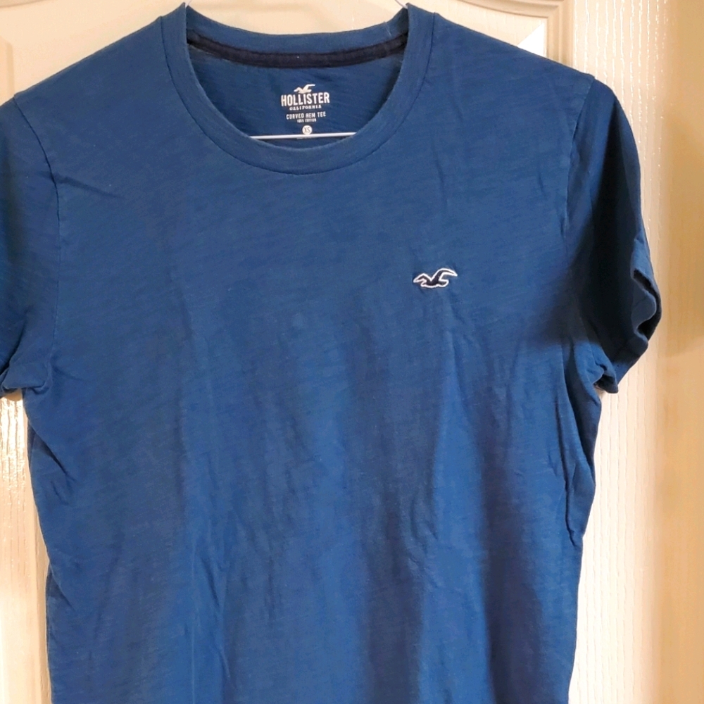 Hollister men's t-shirt